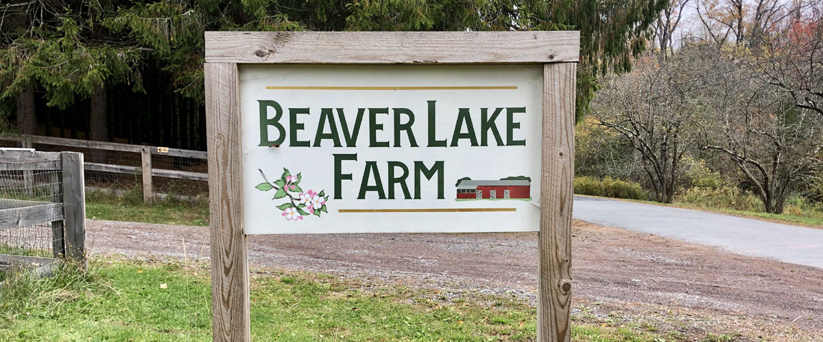 Welcome to Beaver Lake Farm!